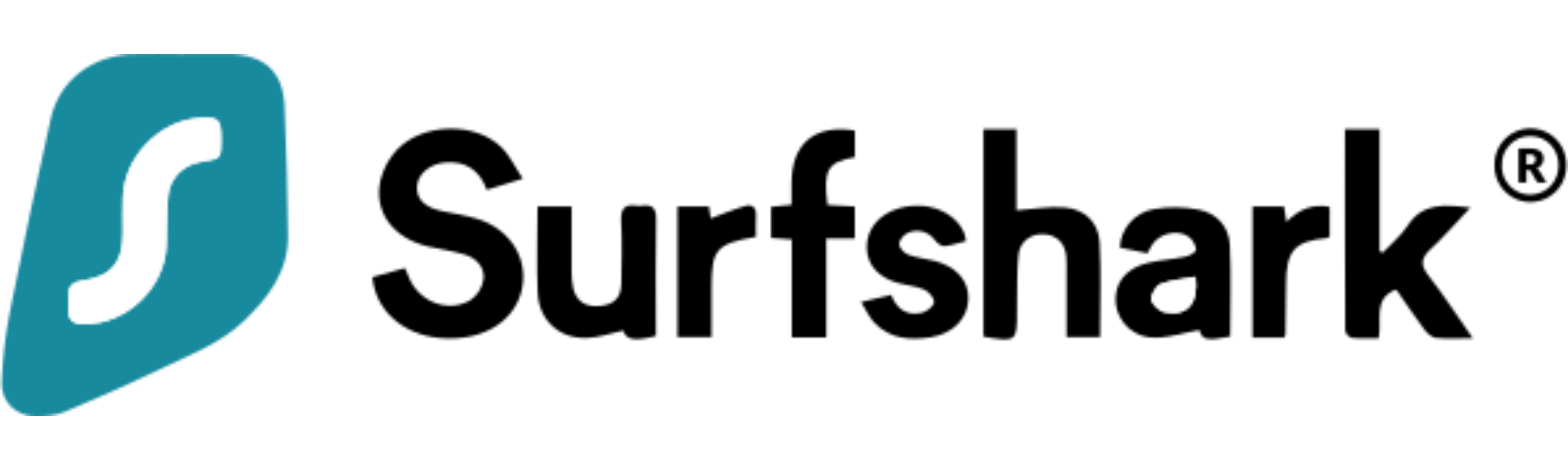 Surfshark Vpn